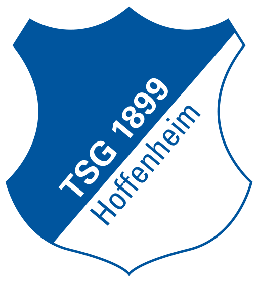 TSG Hoffenheim II Heute schon Tickets für das erste Heimspiel sichern